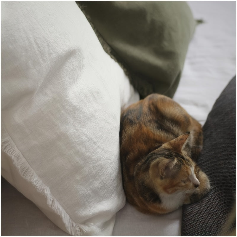 Ultra-Soft Boho Fringed Cushion Cover